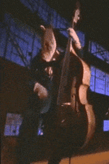 Primus: Mr. Krinkle (Primus: Mr. Krinkle)