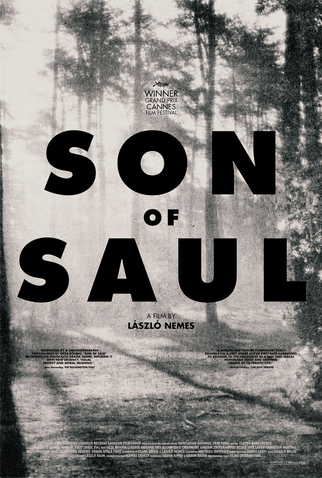 Poster 3 de Filme O Filho de Saul (2015)