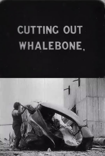 Whaling Afloat and Ashore - Poster / Capa / Cartaz - Oficial 1