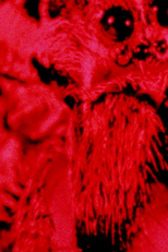 Lamentations (A Monument for the Dead World) (Lamentations (A Monument for the Dead World))