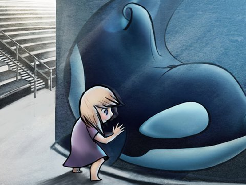 Foto 1 de The Orca Awareness Project