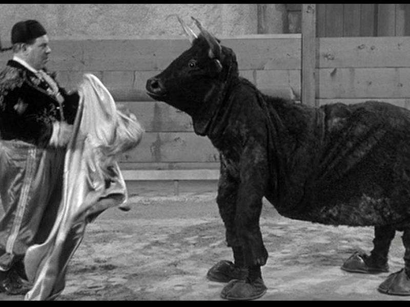 Foto 1 de O touro é um estouro