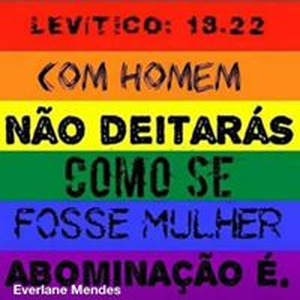 Foto de perfil de Cintilante