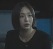 금기된 진실