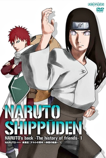Naruto Shippuden (19ª Temporada) - Poster / Capa / Cartaz - Oficial 3