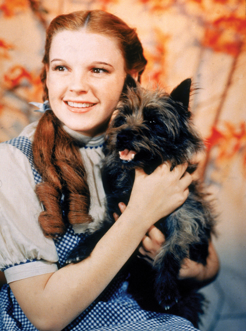 Judy Garland - Foto 9