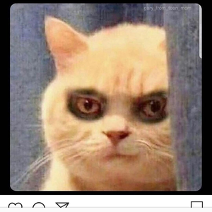 Foto de perfil de Raunny