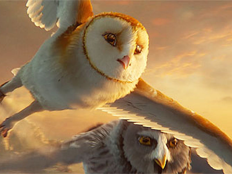 Foto 2 de A Lenda dos Guardiões