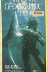 National Geographic Vídeo - Os Tubarões (National Geographic Specials: The Sharks)