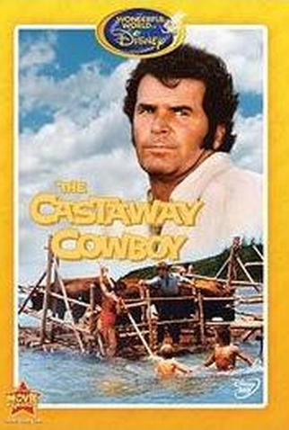 Poster 3 de Filme Um Aventureiro no Hawaí (1974)
