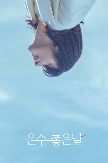 Poster de Franquia 은수좋은날 (2025)