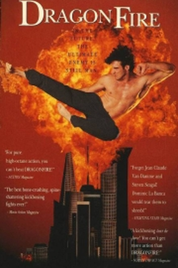 Poster de Filme Dragão do Futuro (1993)