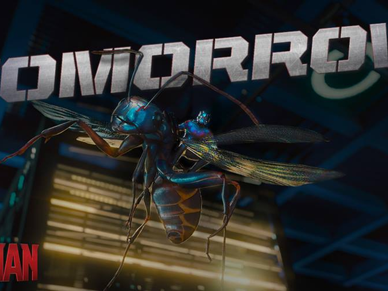 Foto 8 de Homem-Formiga