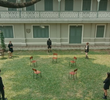 EP6
