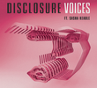 Disclosure ft. Sasha Keable: Voices