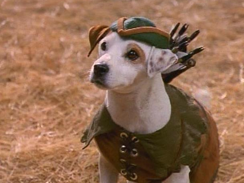 Foto 1 de As Aventuras de Wishbone