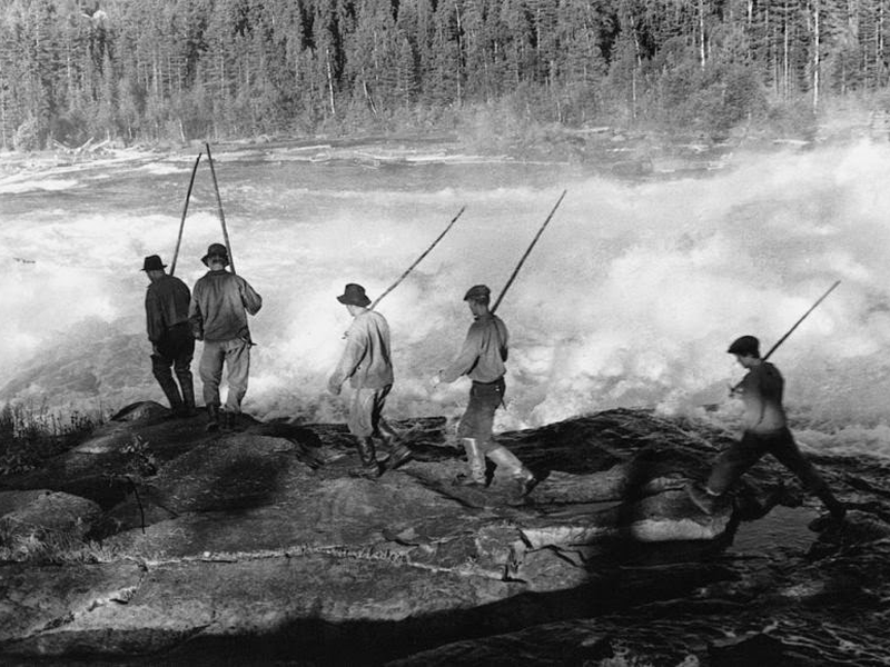 Foto 2 de Here Is Your Life