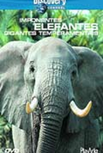Discovery Channel - Imponentes Elefantes Gigantes - Poster / Capa / Cartaz - Oficial 1