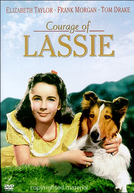 A Coragem de Lassie (Courage of Lassie)