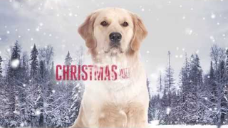 Trailer: Christmas with Tucker - Hallmark Movie Channel