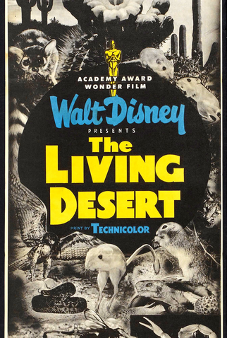 Poster 4 de Filme O Drama do Deserto (1953)