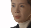 31 회
