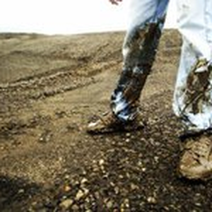 Foto de perfil de Mateus Damiani Monteiro