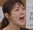 46회