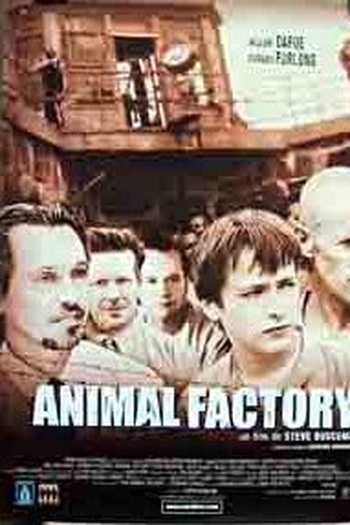  de Filme Fábrica de Animais (2000)