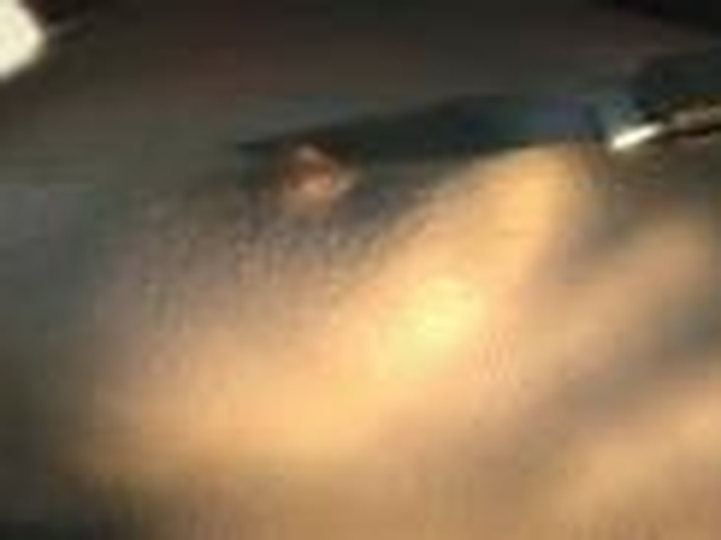 Foto 3 de Voyage to Agatis 