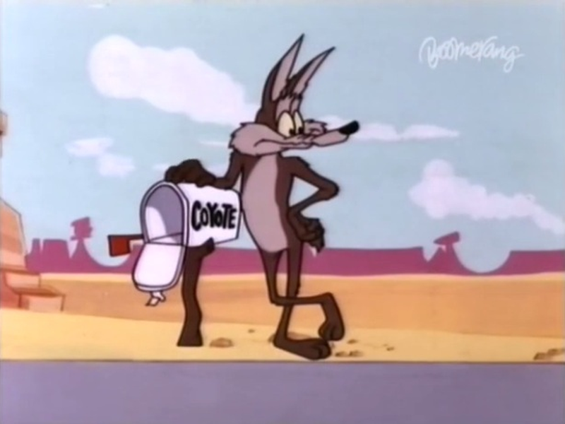 Foto 6 de Coyote Cheio de Truques