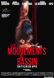 Les mouvements du bassin (Les mouvements du bassin)