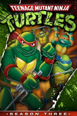 Tartarugas Ninja (3ª Temporada) (Teenage Mutant Ninja Turtles (Season 3))