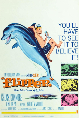 Poster 1 de Filme O Menino e o Delfim (1963)