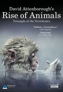 Ascensão dos Animais: Triunfo dos Vertebrados (David Attenborough's Rise of Animals: Triumph of Vertebrates)