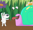 Dog Loves Mini Beasts