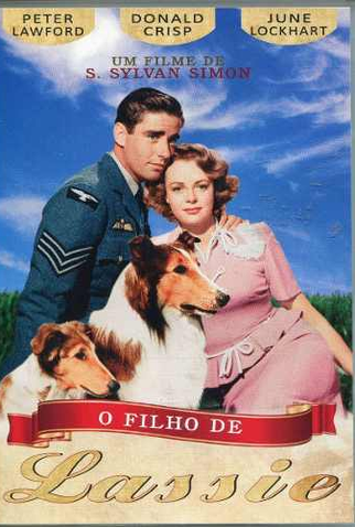 Poster 3 de Filme O Filho de Lassie (1945)
