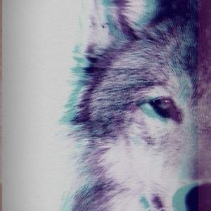 Foto de perfil de Murillo