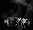 Haunting of the White Sparrow
