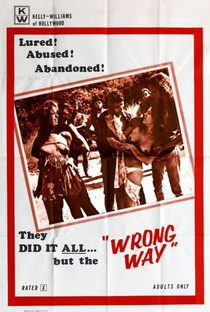 Wrong Way - Poster / Capa / Cartaz - Oficial 1