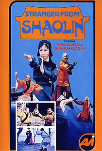 A Vingança de Shaolin - Poster / Capa / Cartaz - Oficial 2
