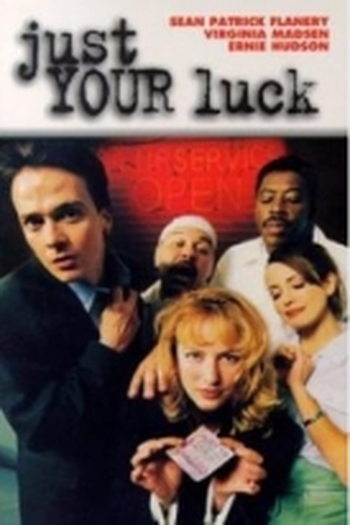 Poster de Filme Trama Milionária (1996)