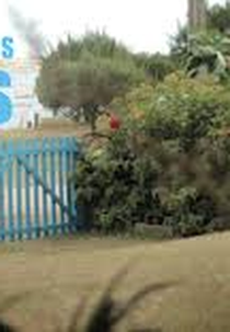 Somos Todos Ilhas (Somos Todos Ilhas)