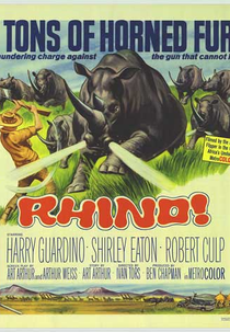 Rinoceronte! (Rhino!)