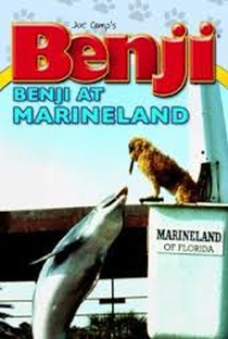 Benji: Um Colosso de Cachorro - Poster / Capa / Cartaz - Oficial 1