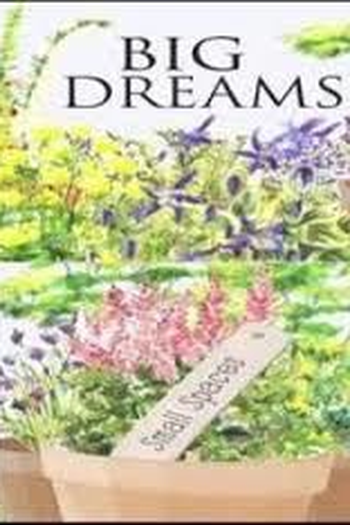 Poster de Série Big Dreams Small Spaces (2018)