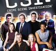 CSI: Investigação Criminal (3ª Temporada)