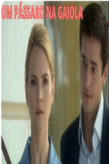 Um passaro na gaiola (Um passaro na gaiola)