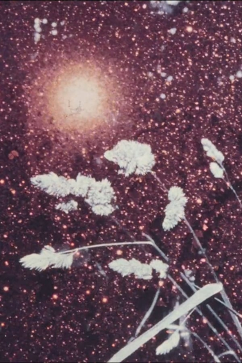 Poster de Curta Winter Li (1981)