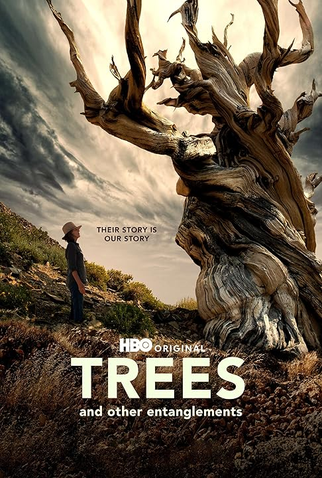 Poster 2 de Filme Árvores e Outras Ramificações (2023)